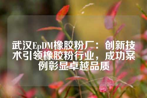 武汉EpDM橡胶粉厂：创新技术引领橡胶粉行业，成功案例彰显卓越品质