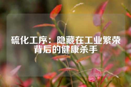 硫化工序：隐藏在工业繁荣背后的健康杀手