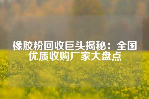 橡胶粉回收巨头揭秘：全国优质收购厂家大盘点