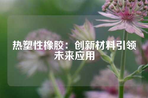 热塑性橡胶：创新材料引领未来应用
