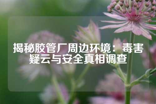 揭秘胶管厂周边环境：毒害疑云与安全真相调查