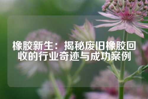 橡胶新生：揭秘废旧橡胶回收的行业奇迹与成功案例