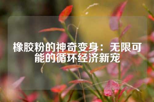 橡胶粉的神奇变身：无限可能的循环经济新宠