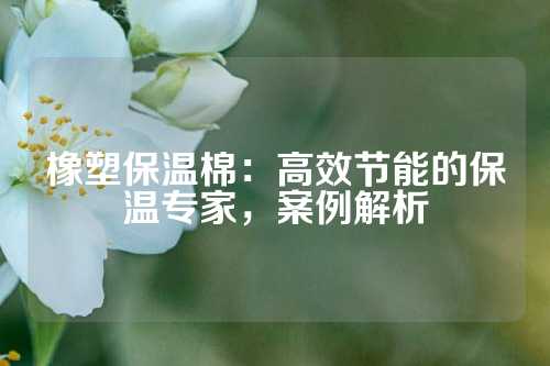 橡塑保温棉：高效节能的保温专家，案例解析