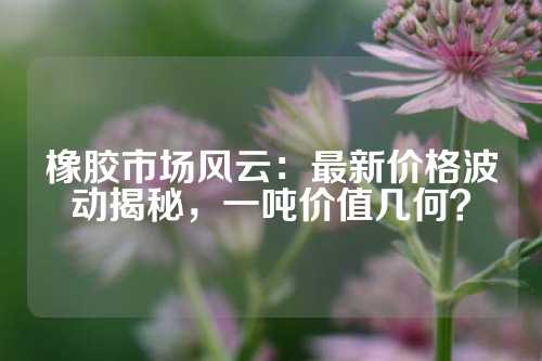 橡胶市场风云：最新价格波动揭秘，一吨价值几何？