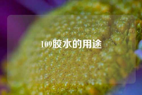 109胶水的用途