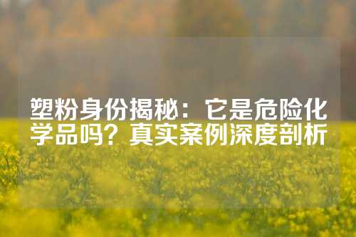 塑粉身份揭秘：它是危险化学品吗？真实案例深度剖析