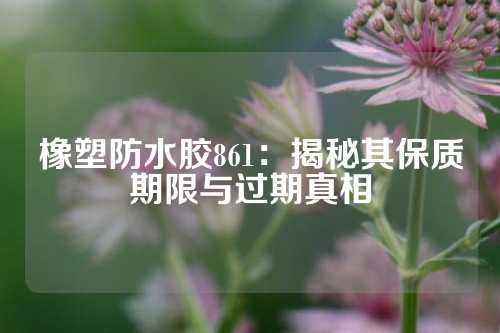 橡塑防水胶861：揭秘其保质期限与过期真相