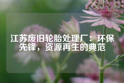江苏废旧轮胎处理厂：环保先锋，资源再生的典范