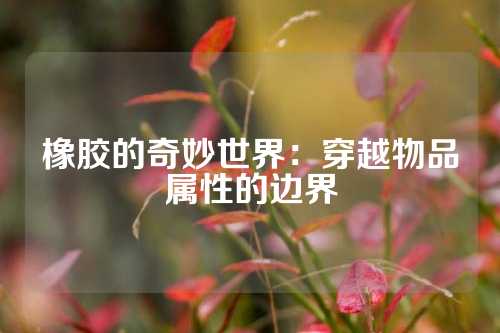 橡胶的奇妙世界：穿越物品属性的边界