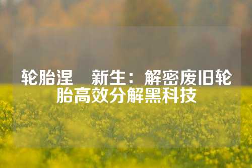 轮胎涅槃新生：解密废旧轮胎高效分解黑科技