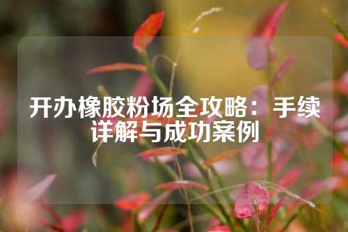 开办橡胶粉场全攻略：手续详解与成功案例