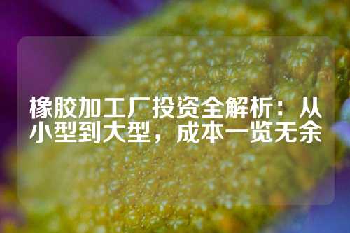 橡胶加工厂投资全解析：从小型到大型，成本一览无余
