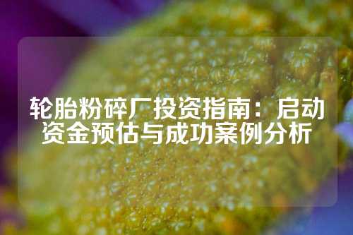 轮胎粉碎厂投资指南：启动资金预估与成功案例分析