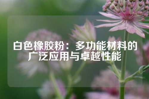 白色橡胶粉：多功能材料的广泛应用与卓越性能