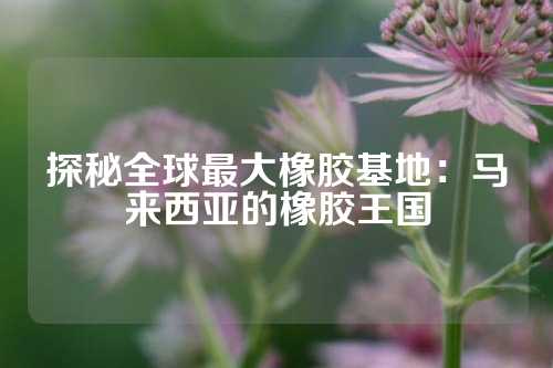 探秘全球最大橡胶基地：马来西亚的橡胶王国