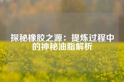 探秘橡胶之源：提炼过程中的神秘油脂解析