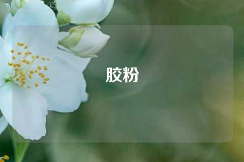 胶粉
