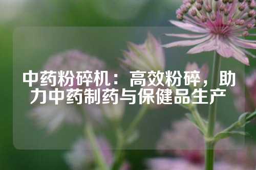 中药粉碎机：高效粉碎，助力中药制药与保健品生产