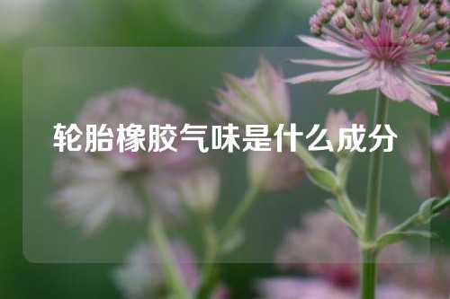 轮胎橡胶气味是什么成分