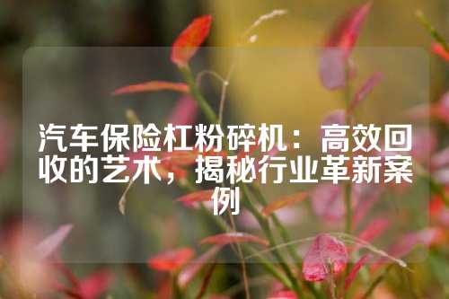 汽车保险杠粉碎机：高效回收的艺术，揭秘行业革新案例
