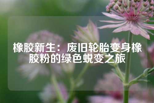 橡胶新生：废旧轮胎变身橡胶粉的绿色蜕变之旅