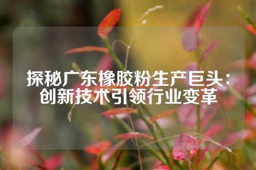 探秘广东橡胶粉生产巨头：创新技术引领行业变革