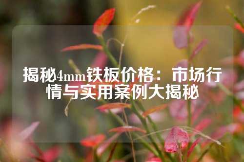 揭秘4mm铁板价格：市场行情与实用案例大揭秘