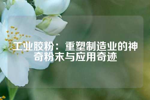 工业胶粉：重塑制造业的神奇粉末与应用奇迹