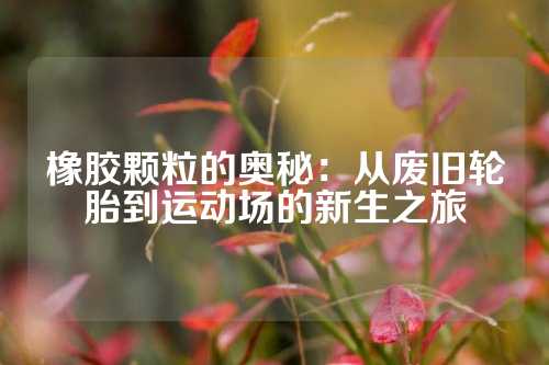 橡胶颗粒的奥秘：从废旧轮胎到运动场的新生之旅