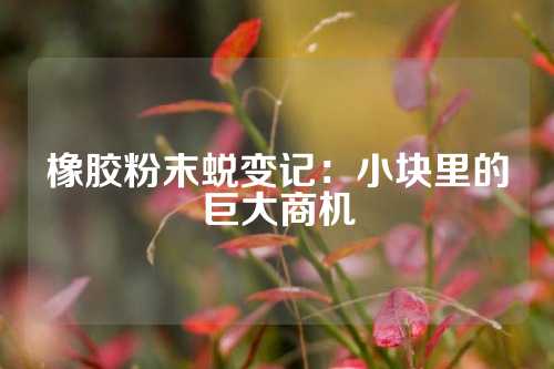 橡胶粉末蜕变记：小块里的巨大商机