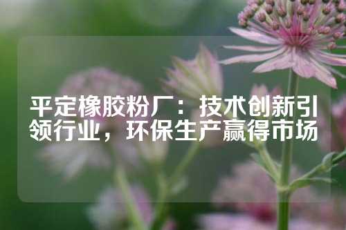 平定橡胶粉厂：技术创新引领行业，环保生产赢得市场