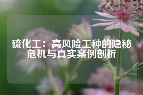硫化工：高风险工种的隐秘危机与真实案例剖析