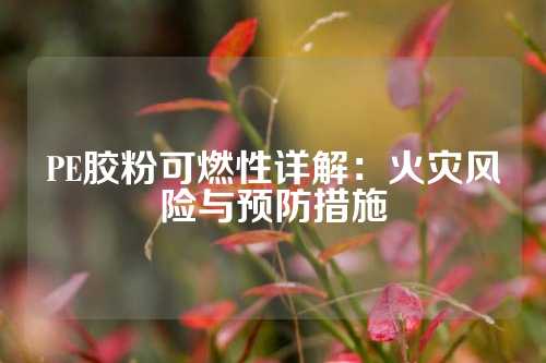 PE胶粉可燃性详解：火灾风险与预防措施