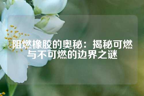 阻燃橡胶的奥秘：揭秘可燃与不可燃的边界之谜