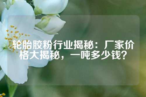 轮胎胶粉行业揭秘：厂家价格大揭秘，一吨多少钱？