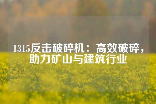 1315反击破碎机：高效破碎，助力矿山与建筑行业