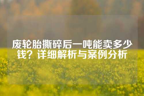 废轮胎撕碎后一吨能卖多少钱？详细解析与案例分析