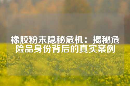 橡胶粉末隐秘危机：揭秘危险品身份背后的真实案例