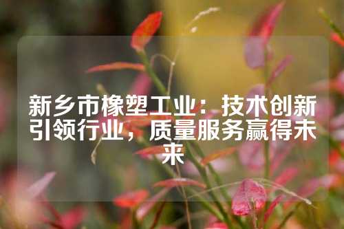 新乡市橡塑工业：技术创新引领行业，质量服务赢得未来