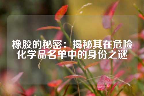 橡胶的秘密：揭秘其在危险化学品名单中的身份之谜