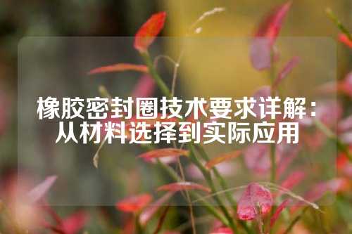 橡胶密封圈技术要求详解：从材料选择到实际应用