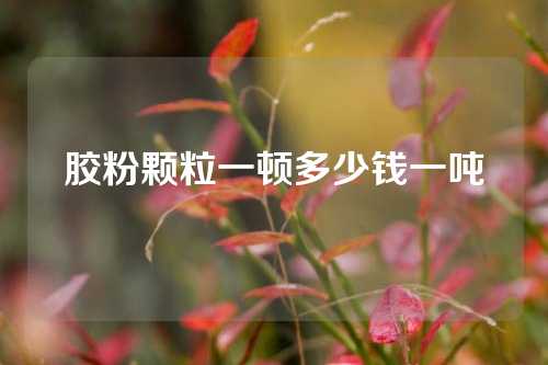 胶粉颗粒一顿多少钱一吨