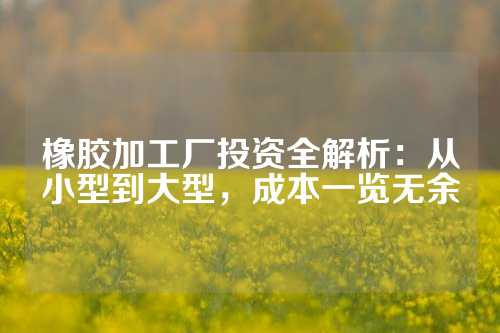 橡胶加工厂投资全解析：从小型到大型，成本一览无余