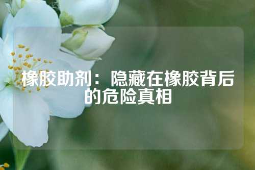 橡胶助剂：隐藏在橡胶背后的危险真相