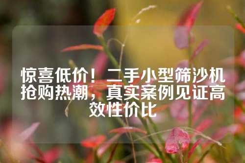 惊喜低价！二手小型筛沙机抢购热潮，真实案例见证高效性价比