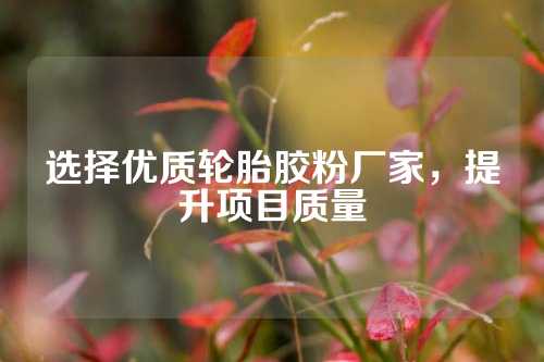选择优质轮胎胶粉厂家，提升项目质量