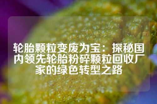 轮胎颗粒变废为宝：探秘国内领先轮胎粉碎颗粒回收厂家的绿色转型之路
