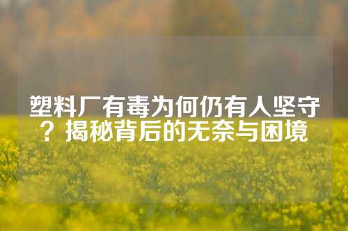 塑料厂有毒为何仍有人坚守？揭秘背后的无奈与困境