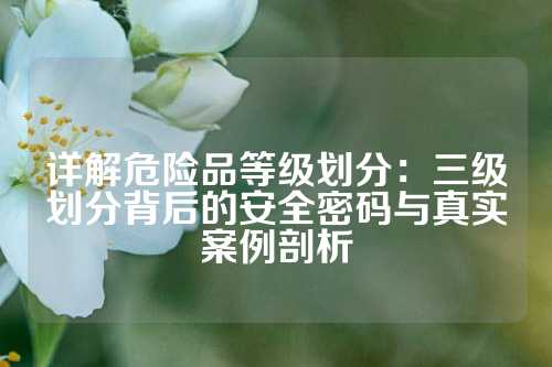 详解危险品等级划分：三级划分背后的安全密码与真实案例剖析